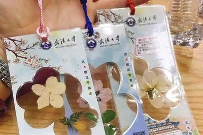 赏花季武汉单日吸引超30万人次！武汉离“赏花第一城”有多远？