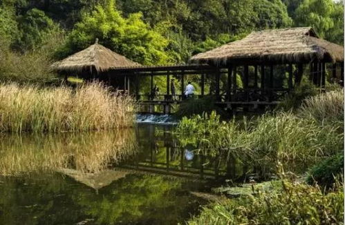 杭州旅游文化之行 茅家埠、北山路、云栖竹径与杨梅岭的江南韵味