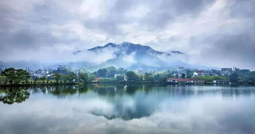 大数据洞察 莫干山民宿产业布局、产品趋势与杭州旅游联动发展