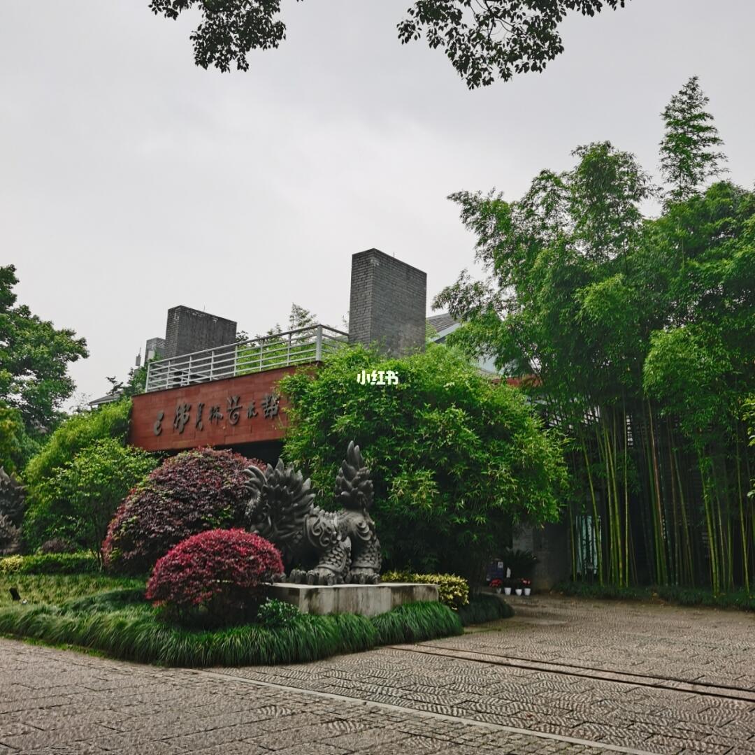 杭州植物园菊花展踩坑避雷攻略