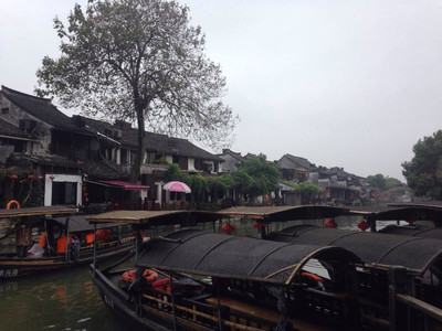 杭州秋游记 江南秋韵，西子湖畔的诗意时光